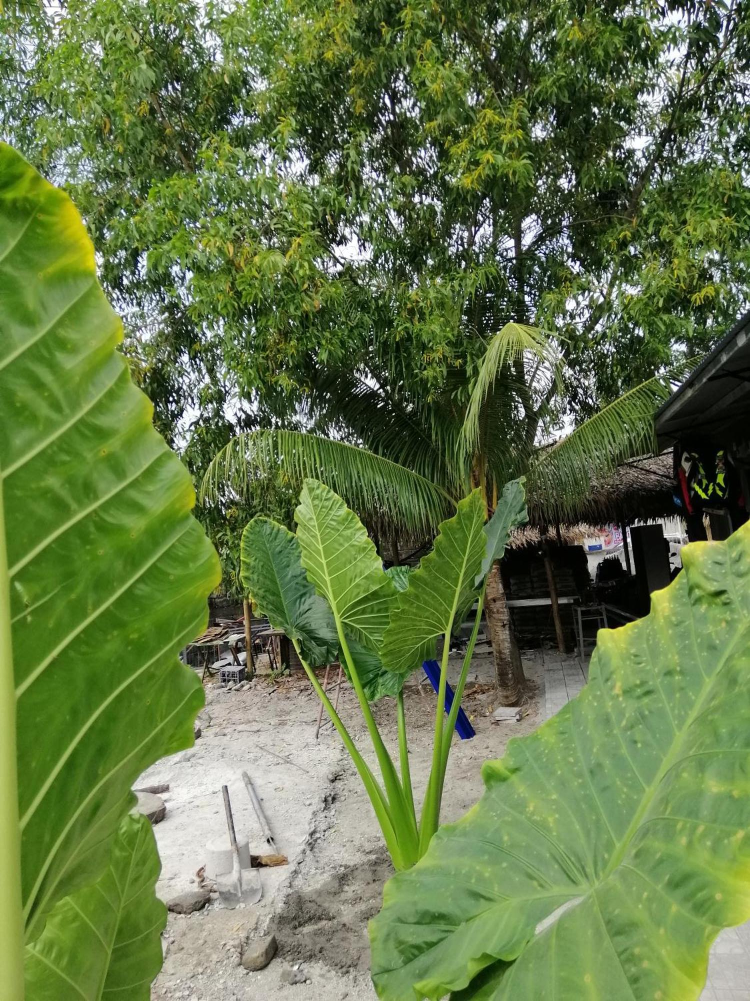 Katrina'S Dorm Pansiyon Tarlac City Dış mekan fotoğraf